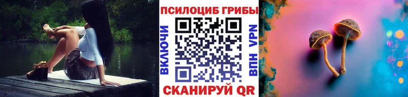 Псилоцибиновые грибы Psilocybine cubensis Таштагол